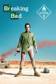 Breaking Bad (2008)